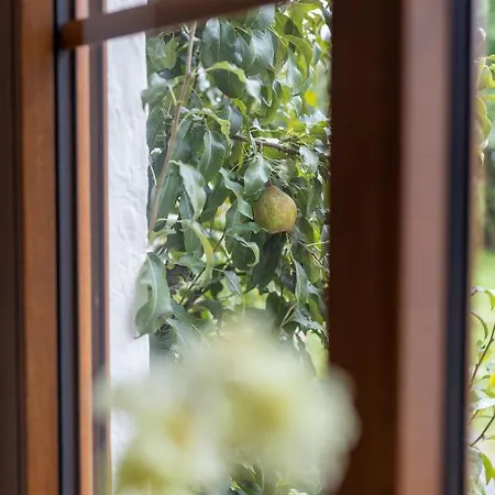 Stadtvilla Falkenstein