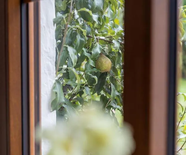 Stadtvilla Falkenstein